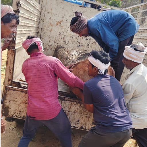 Garuda-Tree-Cutting-Services23