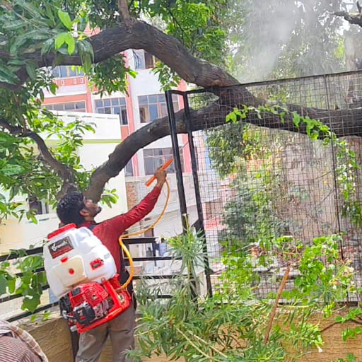 Garuda-Tree-Cutting-Services3