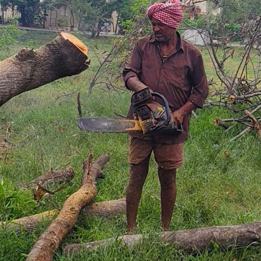 Garuda-Tree-Cutting-Services42