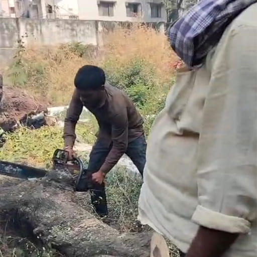 Garuda-Tree-Cutting-Services7