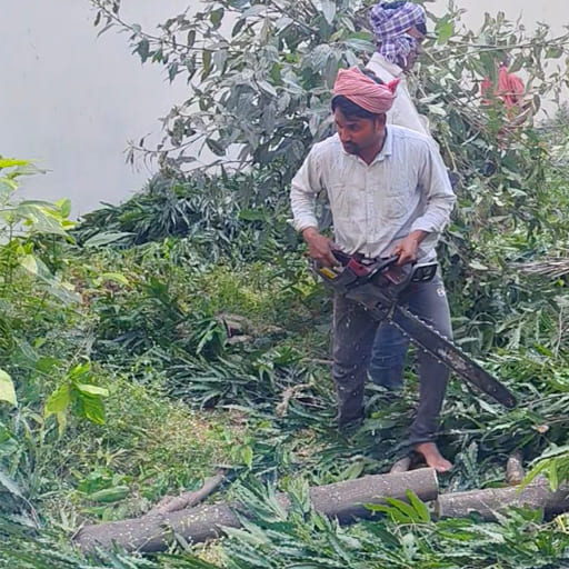 Garuda-Tree-Cutting-Services9